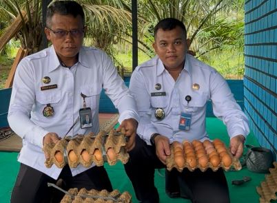 Kepala Lapas Kelas IIB Tebo bersama jajaran menunjukkan hasil panen telur ayam petelur yang dikelola melalui program pembinaan kemandirian warga binaan sebagai dukungan terhadap program ketahanan pangan. (Dok. Humas)