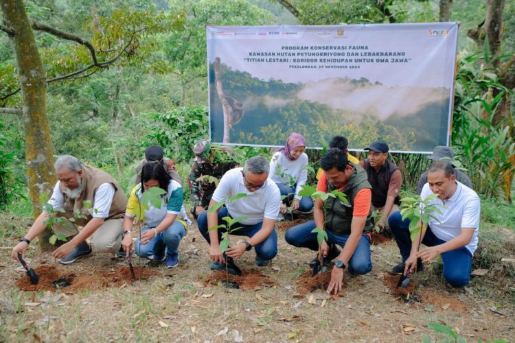 Perwakilan Yayasan AHM, pemerintah daerah, dan masyarakat melakukan penanaman bibit pohon di Kawasan Hutan Petungkriyono, Pekalongan, dalam rangka peluncuran Program Konservasi Owa Jawa “Titian Lestari”, Sabtu (29/11/2025). (Dok. Sinsen)