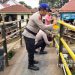 Personel Ditpolairud Polda Jambi bersama warga melakukan pengecatan jembatan penghubung Kampung Pulau Pandan menuju Pasar Angso Duo, Minggu (7/12/2025). (Dok. Nahar)