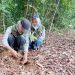 Peserta program Sinsen Plant Action 2025 menanam bibit pohon di Hutan Kota Bagan Pete, Jambi, Jumat (20/12/2025). (Dok, Daus)
