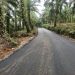 Proyek preservasi jalan Sukamaju–Sendang Mulya–Ujung Tolan di Kecamatan Penarik, Kabupaten Mukomuko. (Dok/DD)