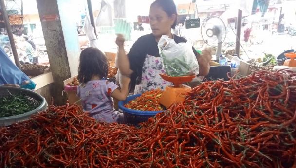 Aktivitas pedagang cabai di salah satu pasar tradisional di Kota Jambi (dok. daus)
