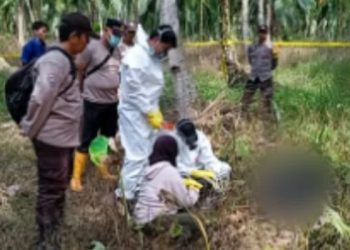 Anggota kepolisian melakukan olah TKP di lokasi ditemukannya seorang petani lanjut usia yang meninggal dunia di kebun kelapa di Desa Siau Dalam, Kecamatan Muara Sabak Timur (Dok. Ginting)