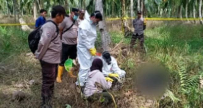 Anggota kepolisian melakukan olah TKP di lokasi ditemukannya seorang petani lanjut usia yang meninggal dunia di kebun kelapa di Desa Siau Dalam, Kecamatan Muara Sabak Timur (Dok. Ginting)