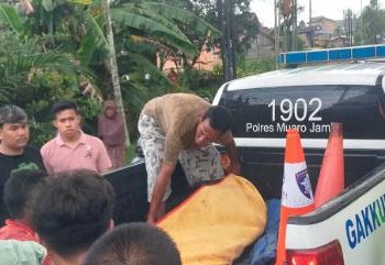 Anggota kepolisian mengevakuasi korban kecelakaan lalu lintas yang melibatkan sepeda motor dan truk bermuatan kelapa sawit di Jalan Lintas Jambi–Sengeti, Kecamatan Jambi Luar Kota, Kabupaten Muaro Jambi, Senin (26/1/2026). (Dok. Nahar)