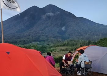 Suasana agrowisata Farenza Garden di Desa Renah Alai, Kecamatan Jangkat, Kabupaten Merangin, yang kini resmi terdaftar dalam Hak Kekayaan Intelektual (HKI) Kemenkum RI, Kamis (29/1/2026). (Riky)