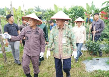 Wakil Gubernur Jambi Abdullah Sani (tengah) bersama Wakapolda Jambi Brigjen Pol. Mirza Mustaqim meninjau panen raya jagung Kuartal I Tahun 2026 di Desa Tunas Mudo, Kecamatan Sekernan, Kabupaten Muaro Jambi, Kamis (8/1/2026), (Dok. Stepanus)