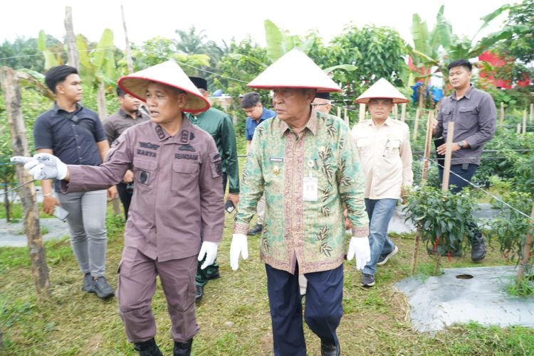 Wakil Gubernur Jambi Abdullah Sani (tengah) bersama Wakapolda Jambi Brigjen Pol. Mirza Mustaqim meninjau panen raya jagung Kuartal I Tahun 2026 di Desa Tunas Mudo, Kecamatan Sekernan, Kabupaten Muaro Jambi, Kamis (8/1/2026), (Dok. Stepanus)