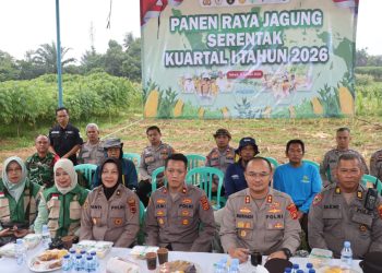 Jajaran Polresta Jambi bersama kelompok tani mengikuti kegiatan Panen Raya Jagung Serentak Kuartal IV Tahun 2025 secara daring di lahan Kelompok Tani Tunas Jaya, Kelurahan Paal Lima, Kecamatan Kota Baru, Kamis (8/1/2026). (Dok. Nahar)