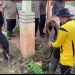Polres Bireuen bersama jajaran Polsek turun langsung melakukan gotong royong pemulihan pascabencana banjir bandang di SD Negeri 11 Kutablang, Desa Keurumbok, Kecamatan Kutablang, Kabupaten Bireuen, Minggu (18/1/2026). (Dok/yola)