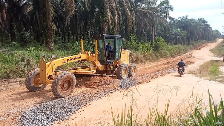 Alat berat milik UPT Alkal Dinas PUPR Kabupaten Muaro Jambi melakukan pemeliharaan ruas jalan kabupaten di Desa Tri Mulya Jaya, Kecamatan Sungai Gelam, Kamis (29/1/2026). (Daus)