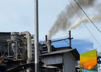 Asap hitam dari pabrik PT Palma Mas Sejati (PMS) di Desa Talang Empat, Kabupaten Bengkulu Tengah, selasa (23/12/2025). (Dok/yola)