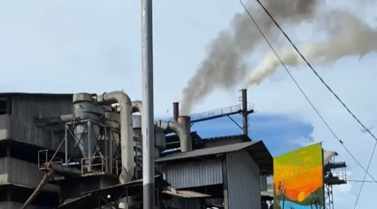 Asap hitam dari pabrik PT Palma Mas Sejati (PMS) di Desa Talang Empat, Kabupaten Bengkulu Tengah, selasa (23/12/2025). (Dok/yola)