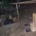 13 Jerigen Solar dan Tangki 1.000 Liter Disita
Dari hasil penggeledahan, di Jalan Kampung Bahari, Kelurahan Sumber Jaya, Kecamatan Kampung Melayu, Kota Bengkulu, Jumat (11/2/2026). (Dok/yola)