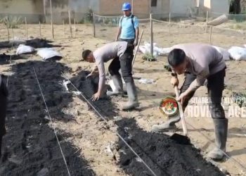 Taruna Akpol Pulihkan Ketahanan Pangan dan UMKM Warga Aceh Tamiang Lewat Pekarangan Pangan Lestari, Kamis (5/2/2026). (Dok/Yl)