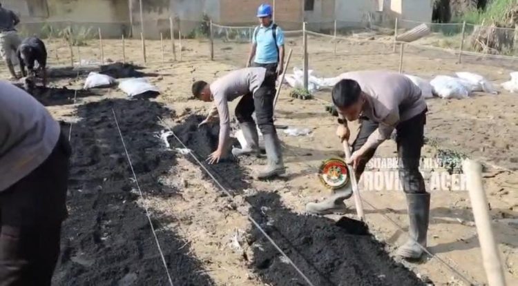 Taruna Akpol Pulihkan Ketahanan Pangan dan UMKM Warga Aceh Tamiang Lewat Pekarangan Pangan Lestari, Kamis (5/2/2026). (Dok/Yl)