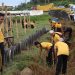 Polres Mukomuko Laksanakan Gerakan Indonesia Asri di Pantai Abrasi, Jumat (6/2/2026). (Dok/Dd)