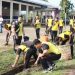 Anggota Polres Tanjung Jabung Timur Gotong Royong Bersihkan Lingkungan di kawasan Pasar Muara Sabak, Jumat (6/2/2026). (Dok. Daus)