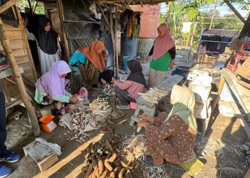Sejumlah anggota Kelompok Wanita Tani (KWT) Embun Pagi mengolah singkong menjadi tepung mocaf di Dusun Selaro, Desa Simpang Bayat, Kecamatan Bayung Lencir, Kabupaten Musi Banyuasin, Sumatera Selatan, Kamis (27/2/2026) (Dok. Nahar)