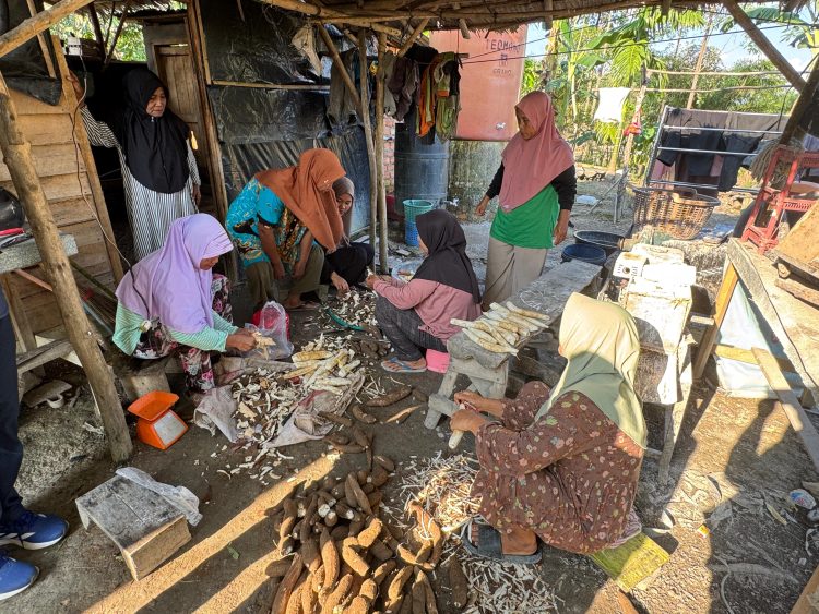Sejumlah anggota Kelompok Wanita Tani (KWT) Embun Pagi mengolah singkong menjadi tepung mocaf di Dusun Selaro, Desa Simpang Bayat, Kecamatan Bayung Lencir, Kabupaten Musi Banyuasin, Sumatera Selatan, Kamis (27/2/2026) (Dok. Nahar)