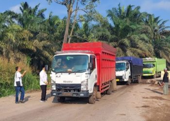 Wakil Ketua I DPRD Provinsi Jambi Ivan Wirata melihat langsung progres pembangunan jalan khusus angkutan batu bara di Kabupaten Batanghari. (Nahar)