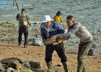 Gubernur Kepulauan Riau Ansar Ahmad (tengah) bersama jajaran Pemprov Kepri dan LAM Kepri mengangkat sampah saat aksi gotong royong bersih laut di depan pelantaran Balai Adat Melayu, Pulau Penyengat, Kota Tanjungpinang, Minggu (1/3/2026) sore. (Dok. Ikram)