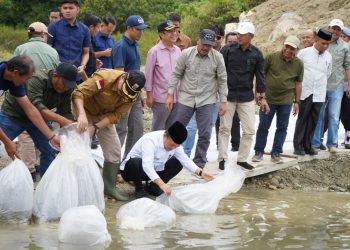 Gubernur Jambi Al Haris menebar benih ikan di Bendungan PLTA Danau Kerinci, Kabupaten Kerinci, Sabtu (7/3/2026), (Dok. Erit)