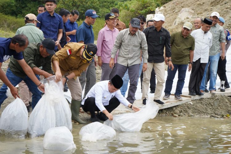 Gubernur Jambi Al Haris menebar benih ikan di Bendungan PLTA Danau Kerinci, Kabupaten Kerinci, Sabtu (7/3/2026), (Dok. Erit)