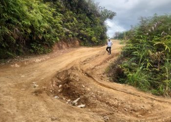 Kondisi jalan rusak di Desa Ranah Pemetik, Kabupaten Kerinci, yang direncanakan akan diperbaiki oleh Dinas PUTR Provinsi Jambi (Dok. Stepanus)