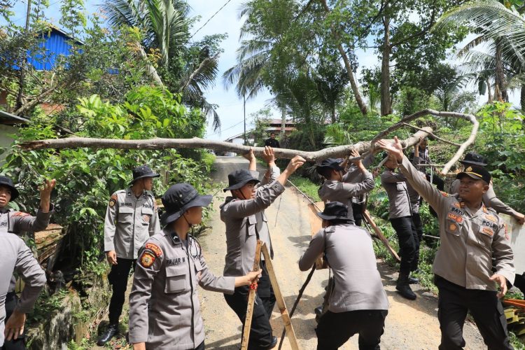 Kapolda Bengkulu Irjen Pol Mardiyono bersama personel gabungan meninjau dan membersihkan pohon tumbang serta banjir akibat hujan deras disertai angin kencang di Kota Bengkulu, Senin (6/4/2026). (foto:yola)