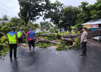 Polsek Selebar turun tangan mengevakuasi batang pohon yang menutup Jalan Bumi Ayu Raya, Selasa (7/4/2026). (Foto:Yola)