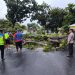 Polsek Selebar turun tangan mengevakuasi batang pohon yang menutup Jalan Bumi Ayu Raya, Selasa (7/4/2026). (Foto:Yola)