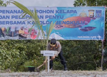 Kapolda Bengkulu, Mardiyono, kuker ke Pulau Enggano, melakukan aksi lingkungan dengan menanam 500 bibit kelapa dan melepas 50 tukik. (Foto:yola)