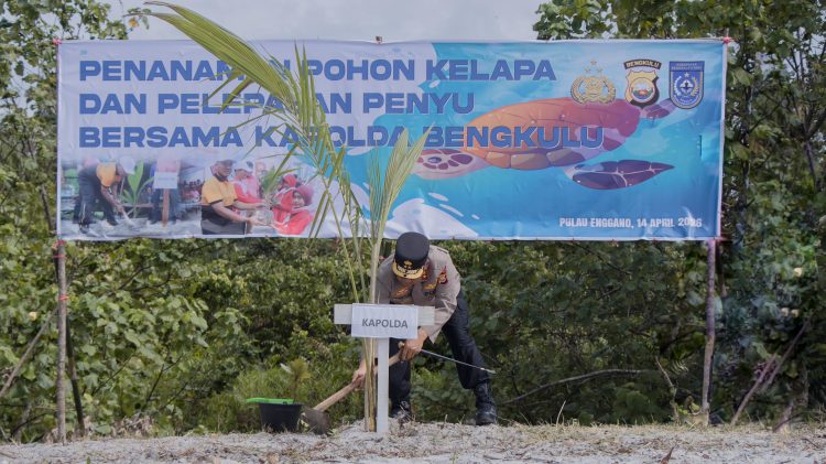 Kapolda Bengkulu, Mardiyono, kuker ke Pulau Enggano, melakukan aksi lingkungan dengan menanam 500 bibit kelapa dan melepas 50 tukik. (Foto:yola)